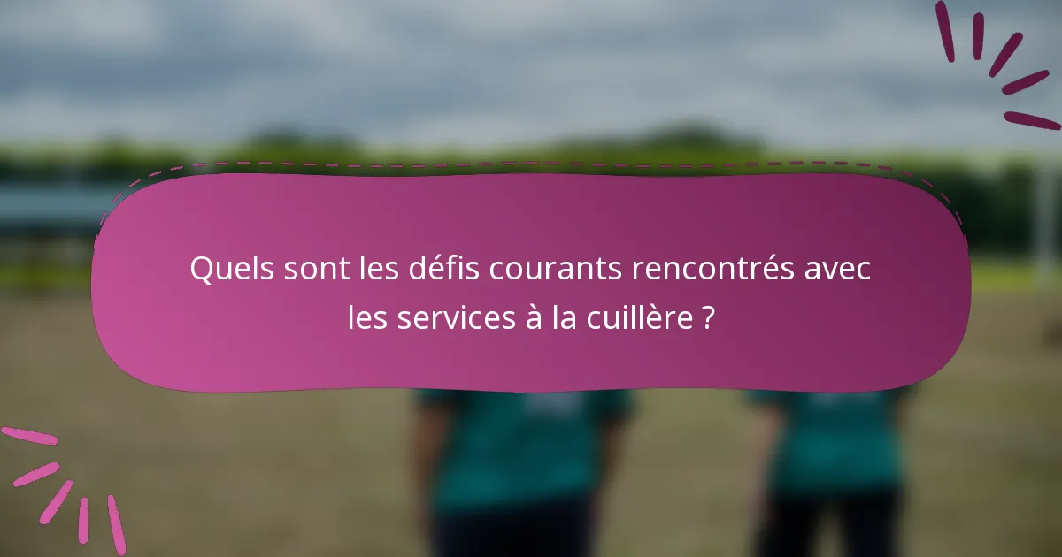 Quels sont les défis courants rencontrés avec les services à la cuillère ?